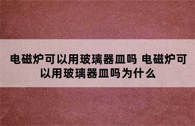 电磁炉可以用玻璃器皿吗 电磁炉可以用玻璃器皿吗为什么